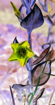 F 044B